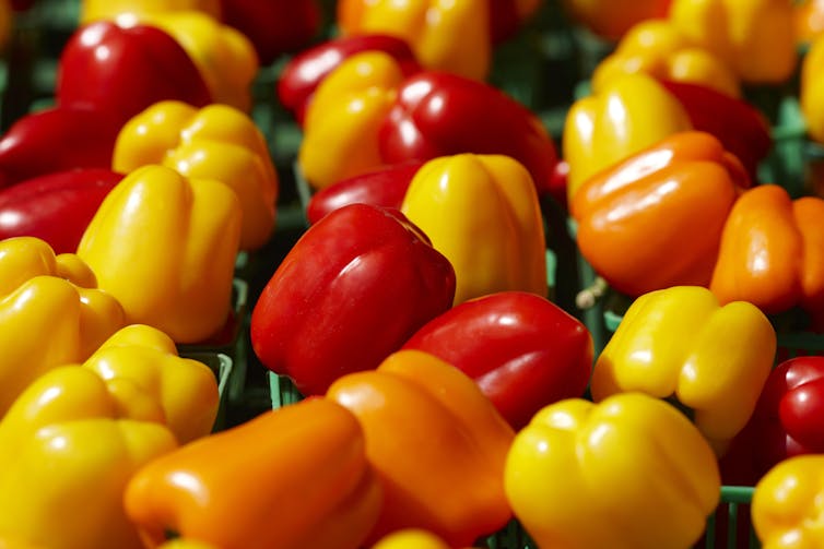 Close-up photo of assorted red, orange and yellow bell peppers.