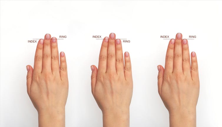 Finger length comparison