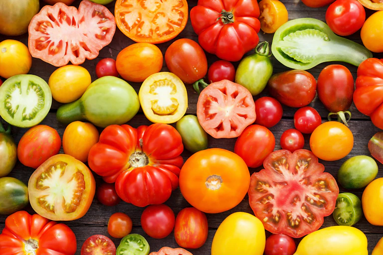 Tomates de diferentes tipos, tamaños y colores.