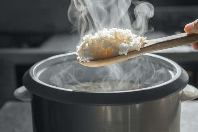 Du riz cuit maintenu avec un instrument de bois au-dessus d'un cuiseur à riz.