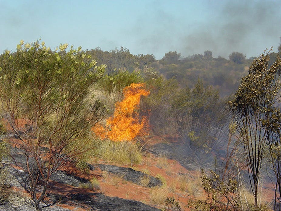 Indigenous Australian fire management