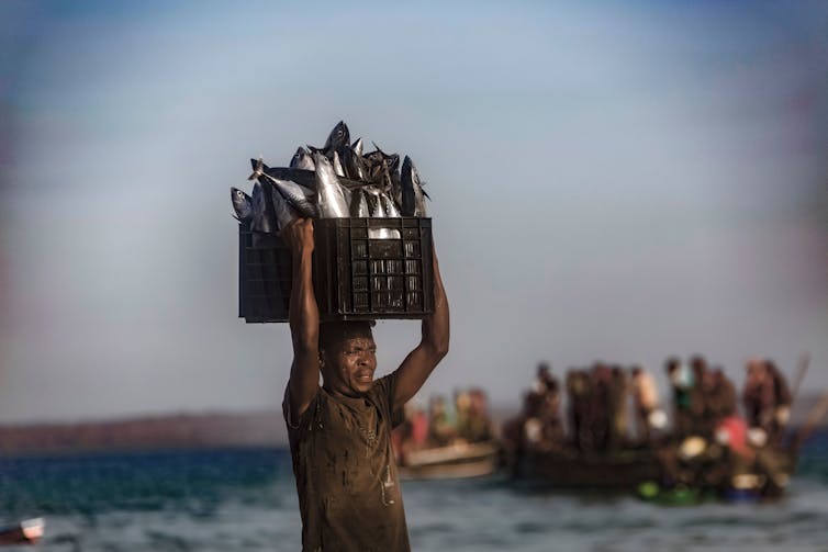 A man hold aloft a crate of fish.