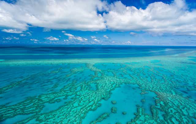 Aerial view of coral reef