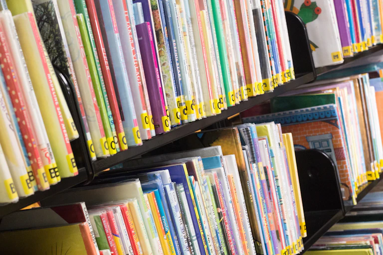 Library shelves with English-language books.
