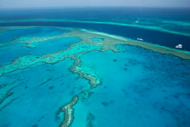 barrier reef