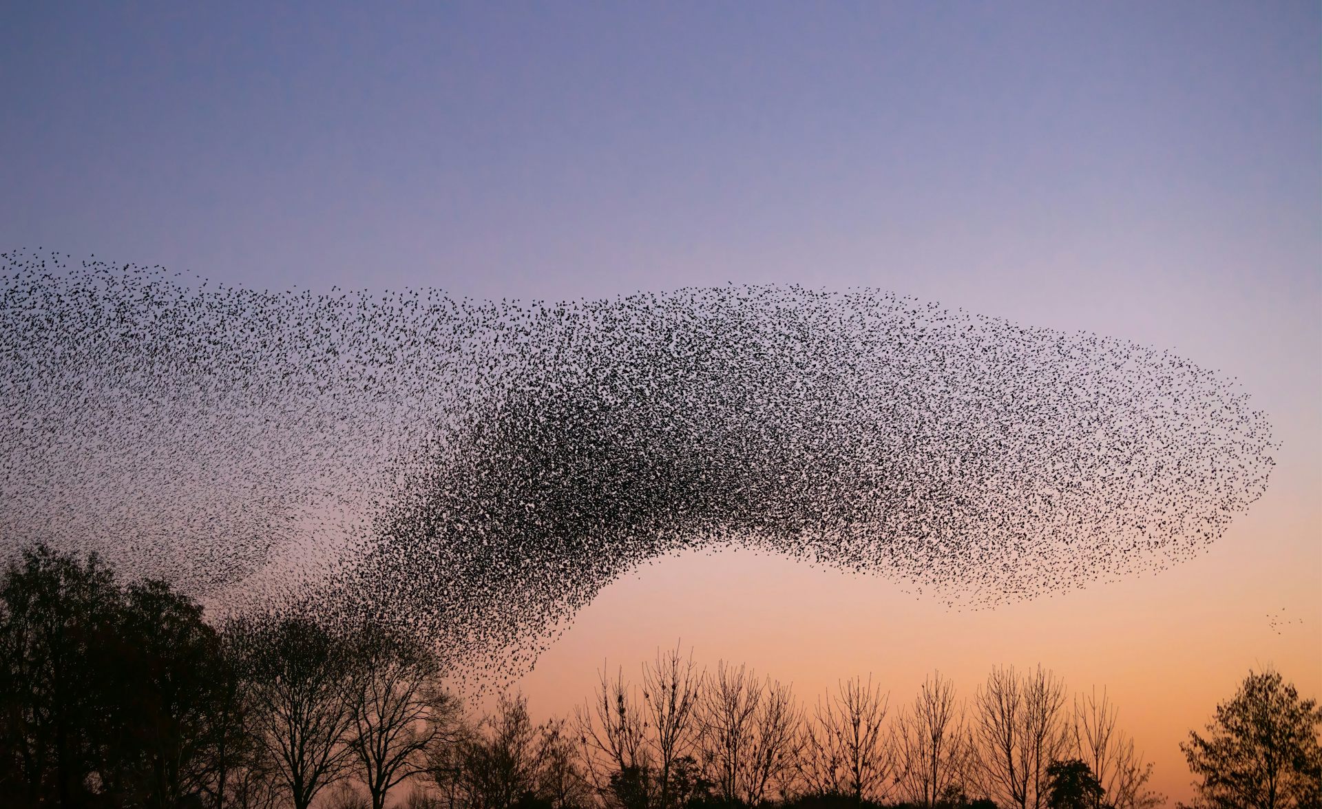 L’intelligence artificielle est-elle en train de changer la nature même