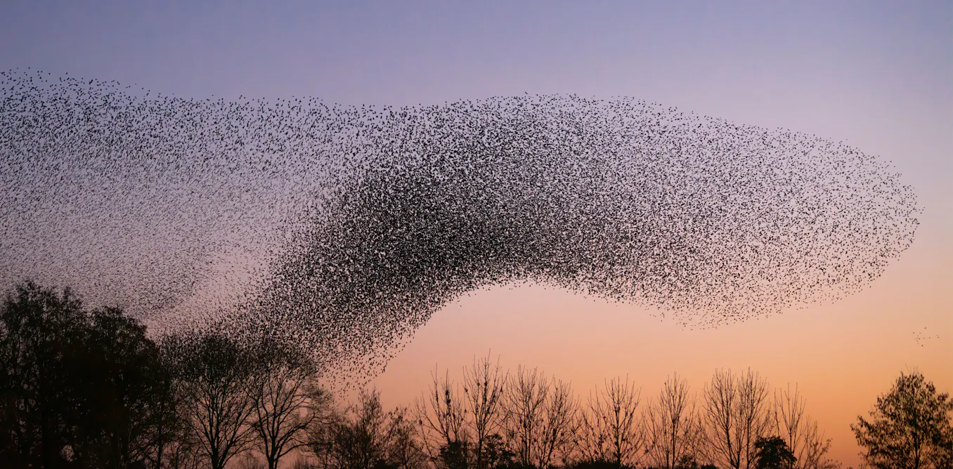 L’intelligence artificielle est-elle en train de changer la nature même