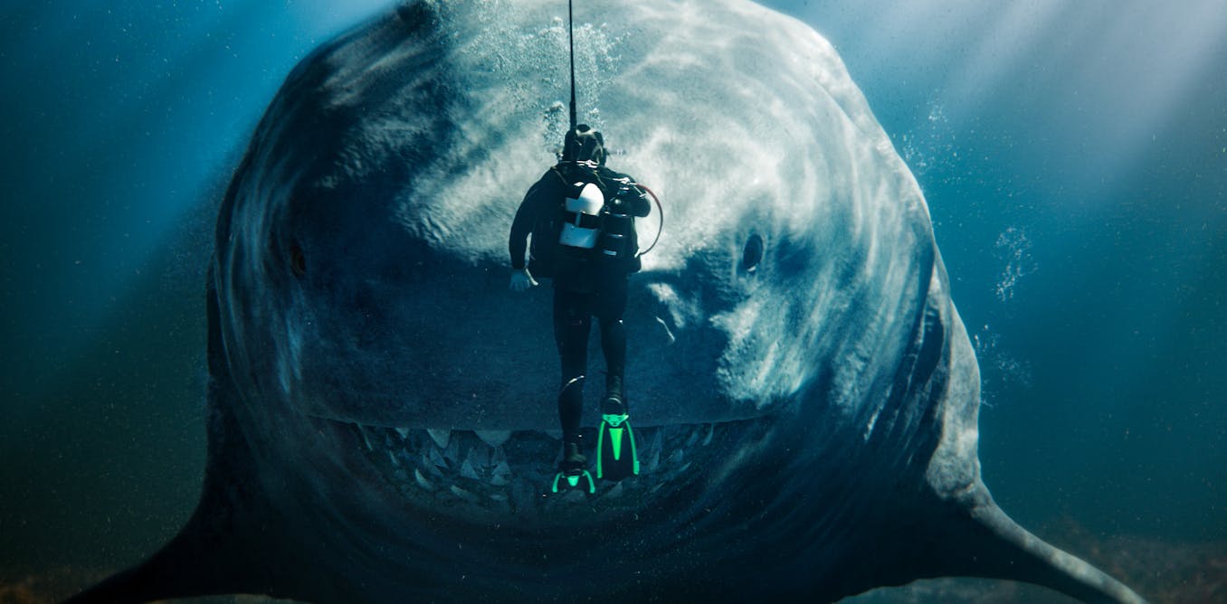 Meg 2 the truth about the extinct mega shark and why even this ridiculous film could inspire future palaeontologists