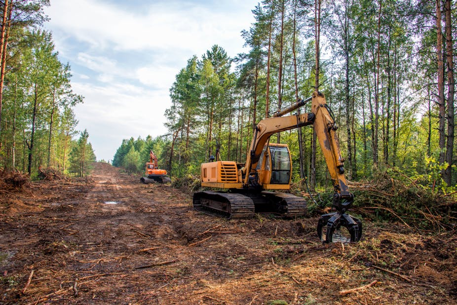 Two excavators clearing a forest for new development.