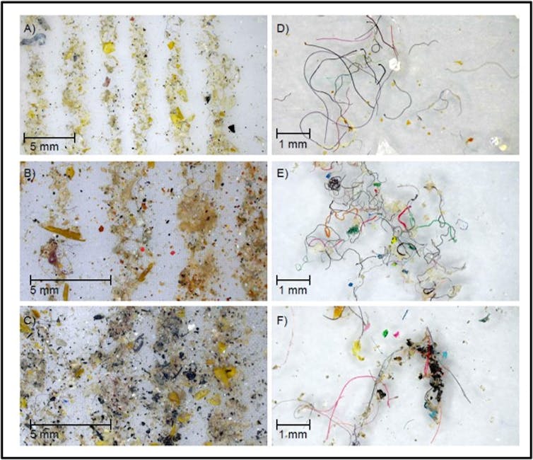 Photos of microplastics seen through a miscroscope