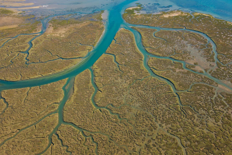 Ramificaciones de un río sobre el terreno.