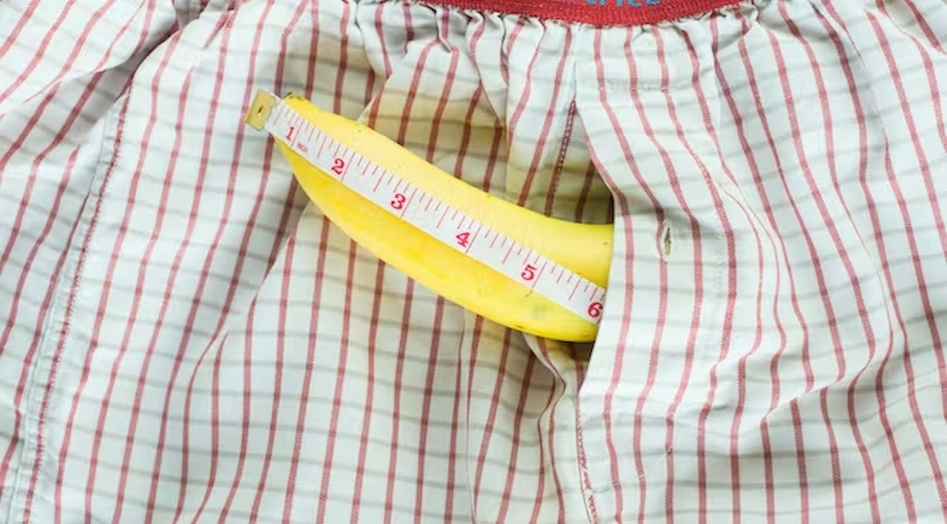 Mengapa manusia berevolusi dengan penis yang besar tapi testisnya kecil?