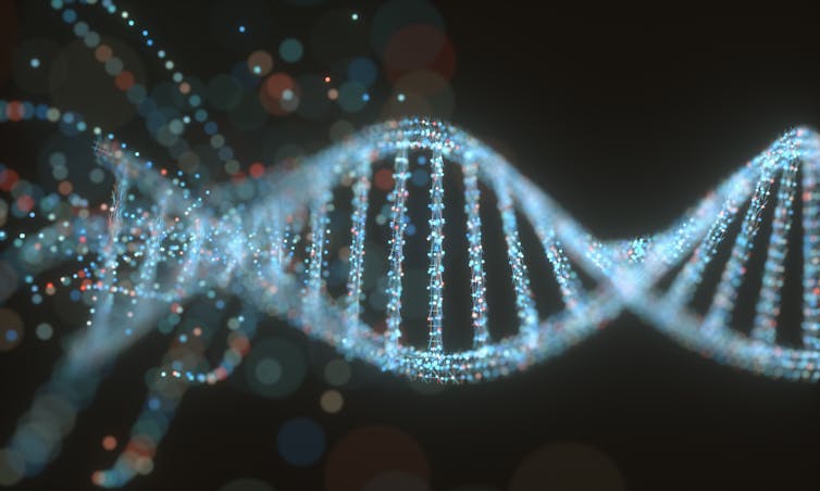 A digital illustration of a DNA strand.