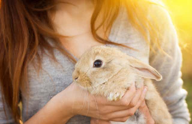Woman holds a brown rabbit 