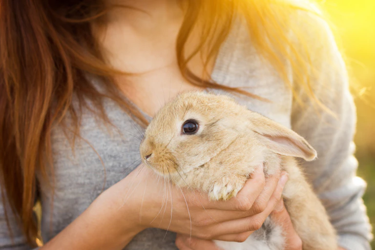 Woman holds a brown rabbit