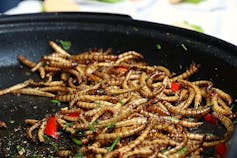 Salteado de gusanos de la seda con verduras