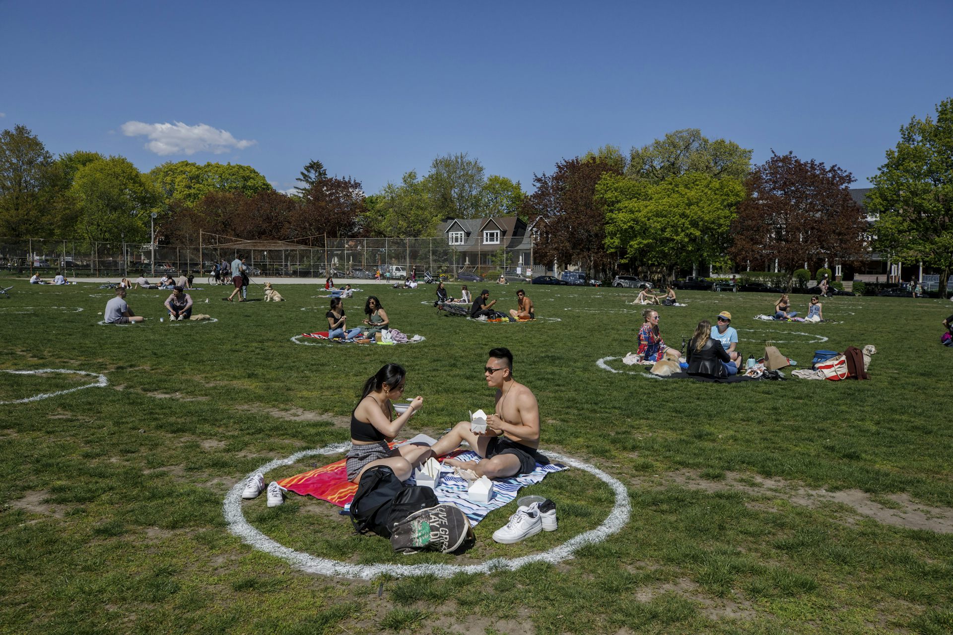 People on the grass in a large park, sitting in white circles drawn on the grass to keep people socially distanced