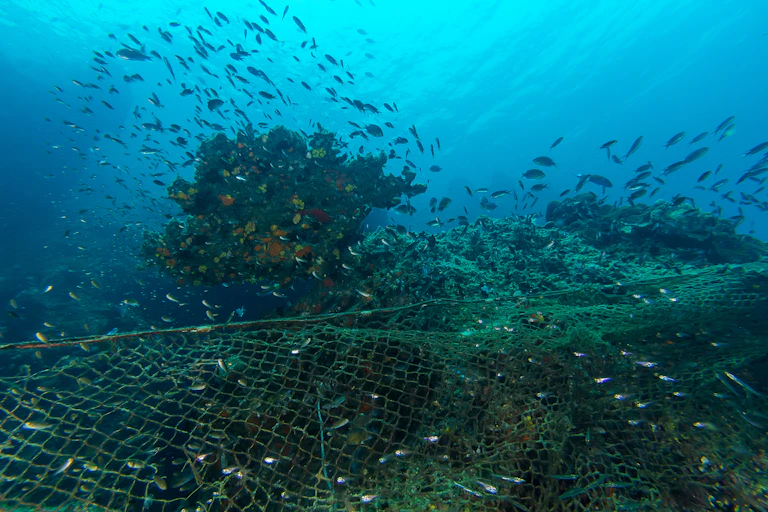 Illegal fishing in ASEAN.