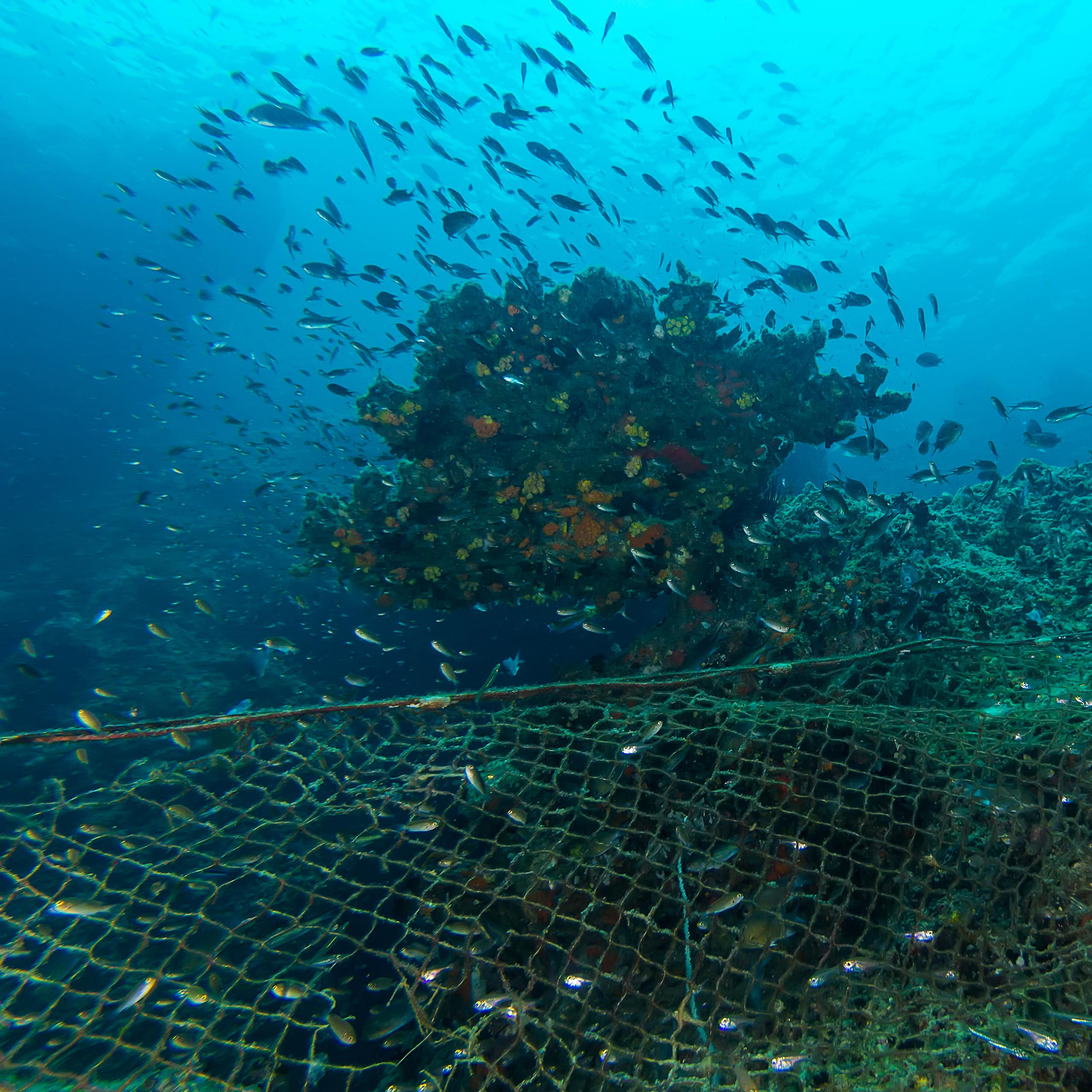 Illegal fishing in ASEAN.