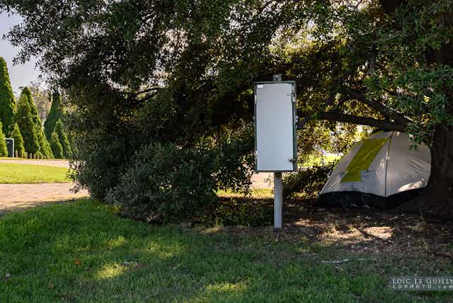Homeless person's tent under a tree in a park