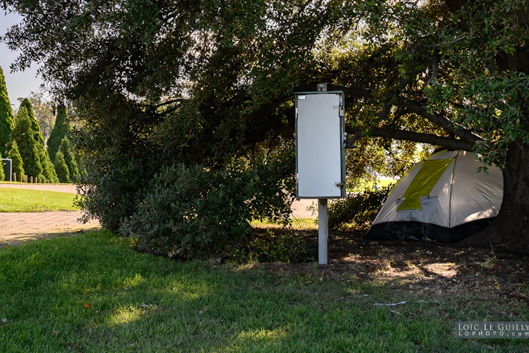 Homeless person's tent under a tree in a park