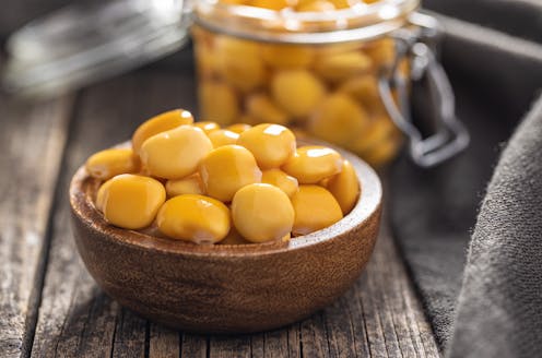 Is this the protein plant of the future? New study finds 'sweetness gene' that makes lupins tastier