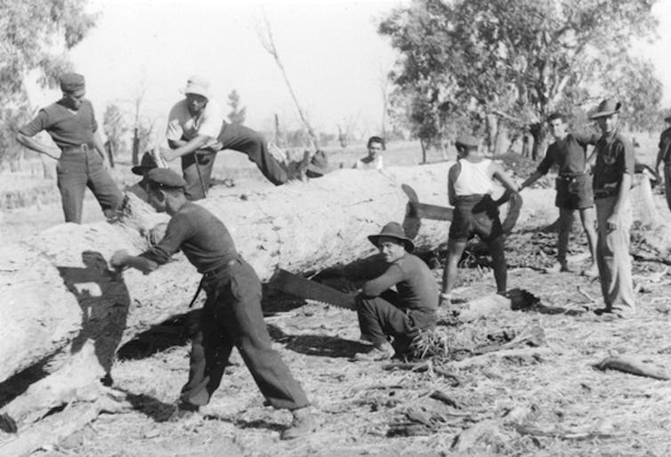 Men sawing a tree