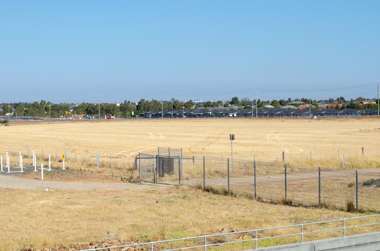 fenced grassland in front of a new housing development