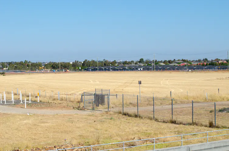 fenced grassland in front of a new housing development
