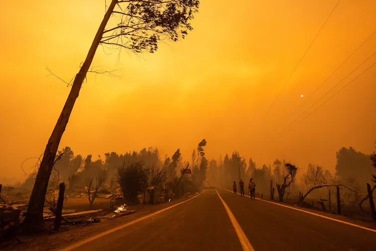 Incendio forestal, cielo naranja, mirando a lo largo de una carretera