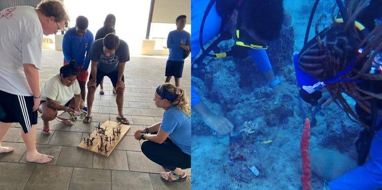 Two photos show young people being trained to work with coral fragments and then on a dive clearing algae from around corals.