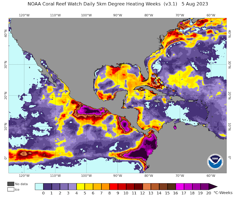 A map shows high heat off Florida and the Bahamas, as well as in the tropical Pacific along the equator, where warm water indicates El Nino conditions.