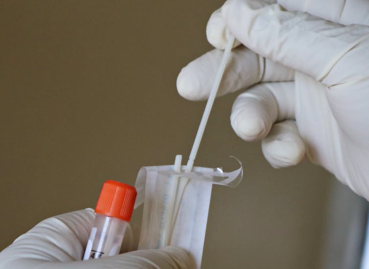 white gloved hands unpacking a cotton swab for a dna test