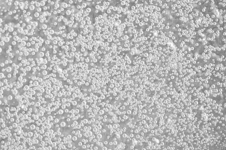 Tiny bubbles in a liquid