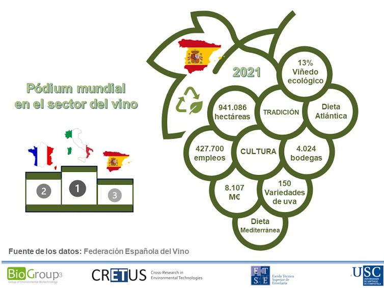 Principais datos do sector do viño en España. Author provided