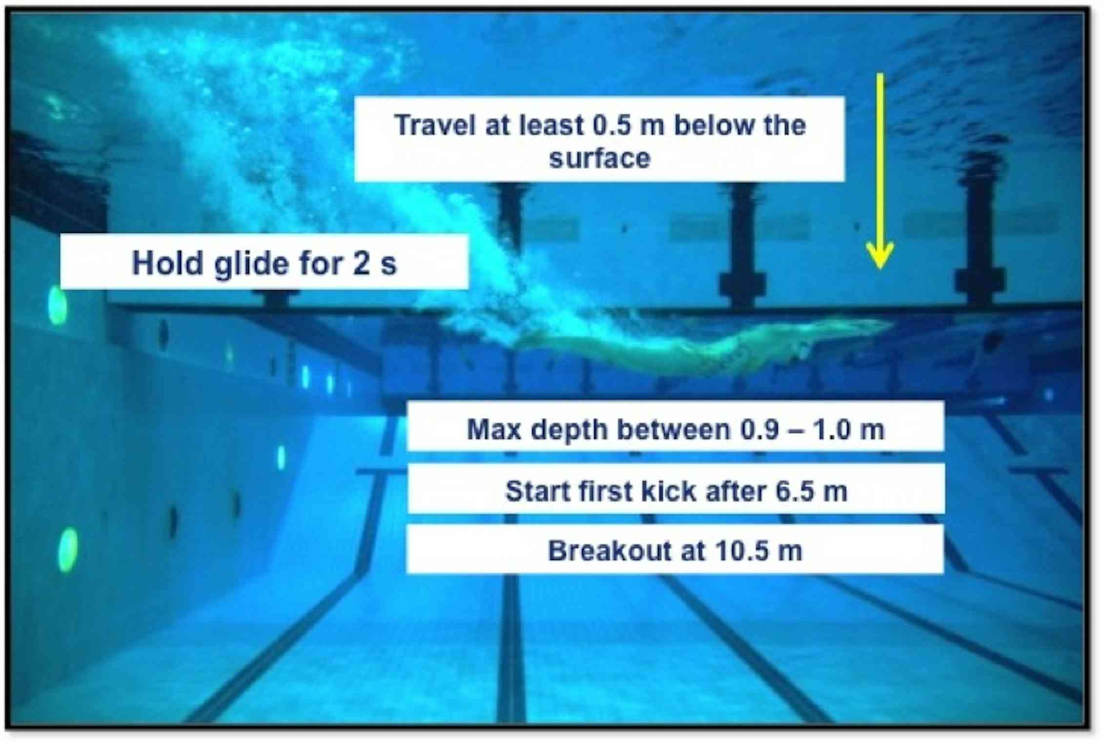 Take Your Marks The Science Behind The Perfect Swimming Dive