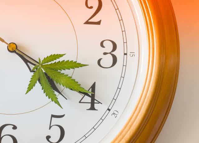 Close up of clock, cannabis leaf forms the minute hand
