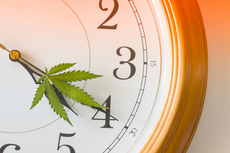 Close up of clock, cannabis leaf forms the minute hand