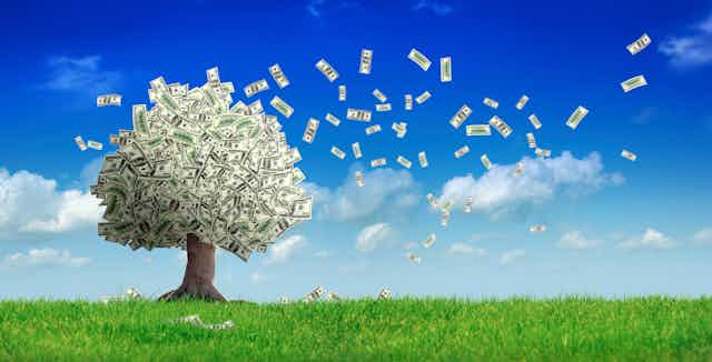 Falling dollar bills from money tree in green field over clear sky.