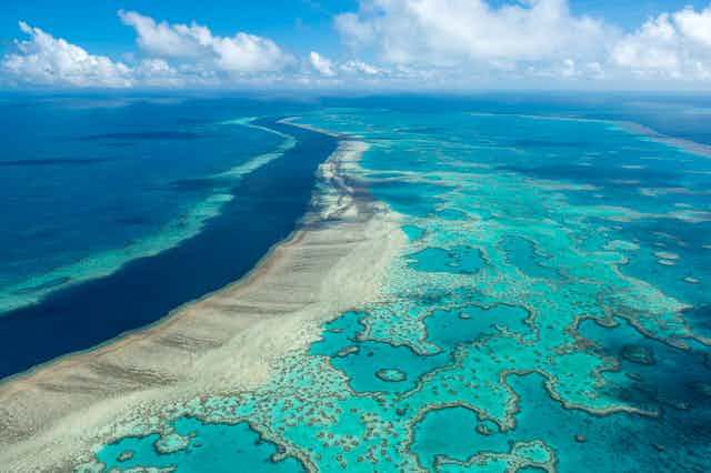 Is the Great Barrier Reef reviving – or dying? Here’s what’s happening ...
