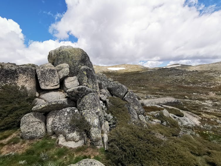 A rock outcrop on the alpine high plain during summer