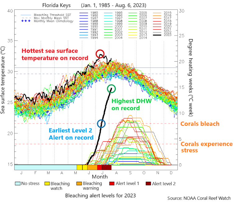 Two charts show ocean temperatures far above normal.