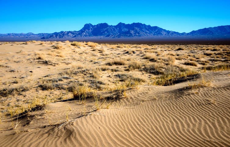 Mojave desert