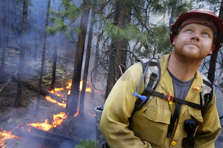 A firefighter looks up with a line of low-burning fire behind him on the ground beneath trees.