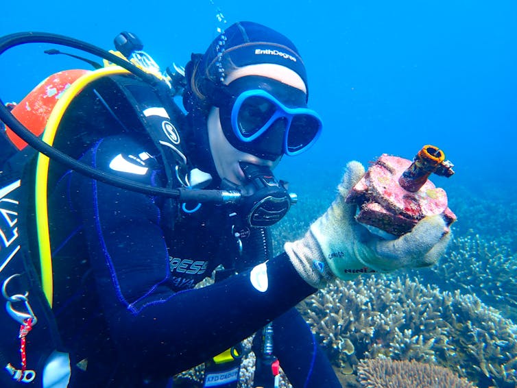 coral scientist