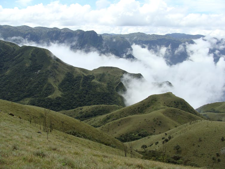 Mountains with a bank of clouds in the distance.