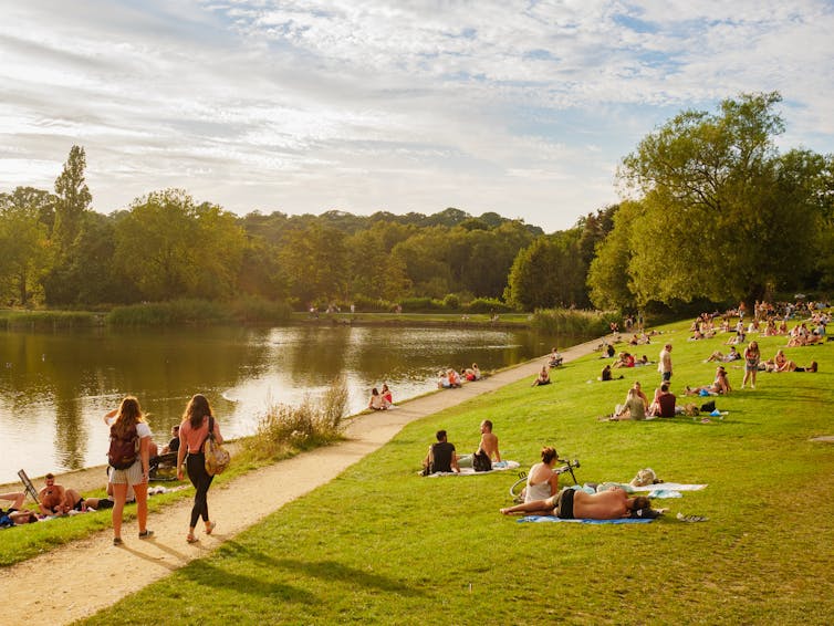 People relaxing on the grass at Hampstead Heath.