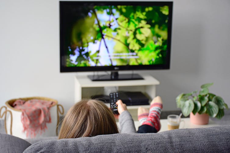 A woman sitting on a sofa watching a nature documentary.