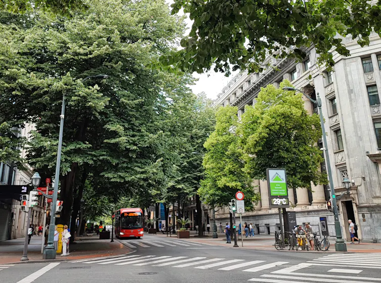 Calle con árboles en Bilbao.
