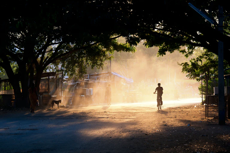 A child cycling through a tunnel of trees.